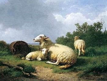 Sheep 067, unknow artist